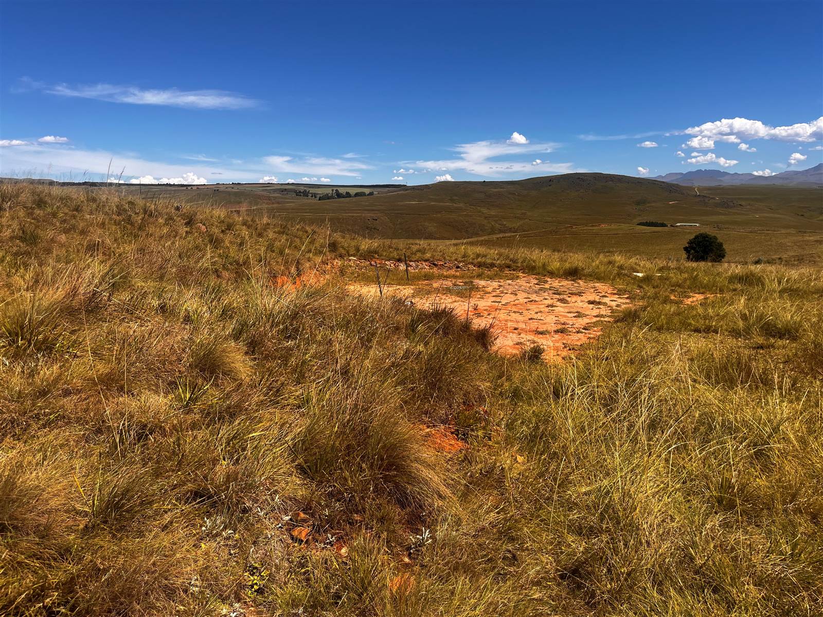 4 ha Land available in Underberg photo number 21