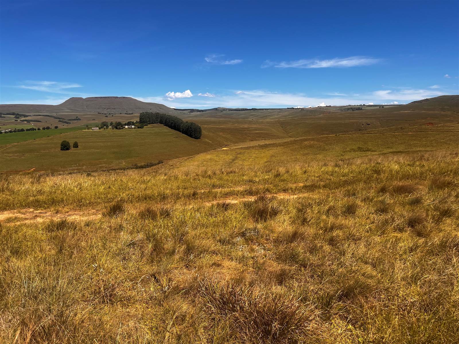 4 ha Land available in Underberg photo number 15
