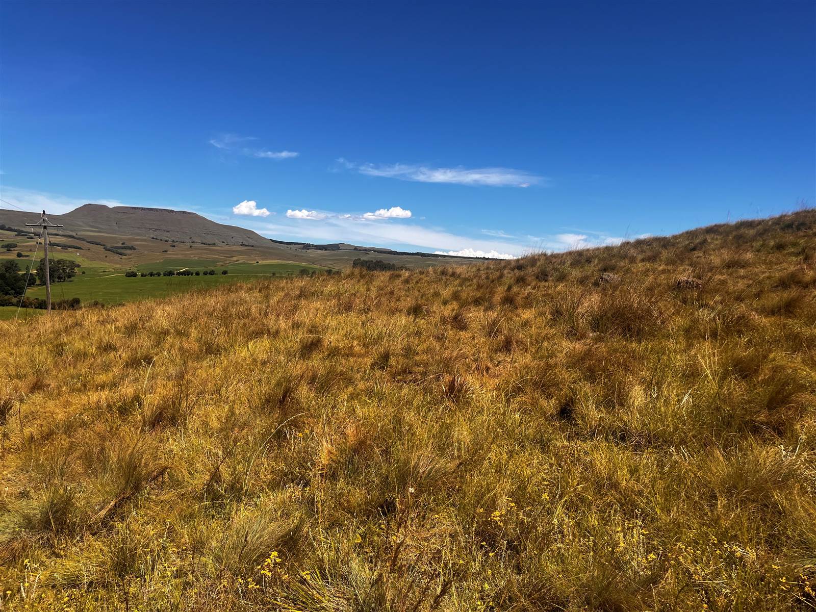 4 ha Land available in Underberg photo number 19