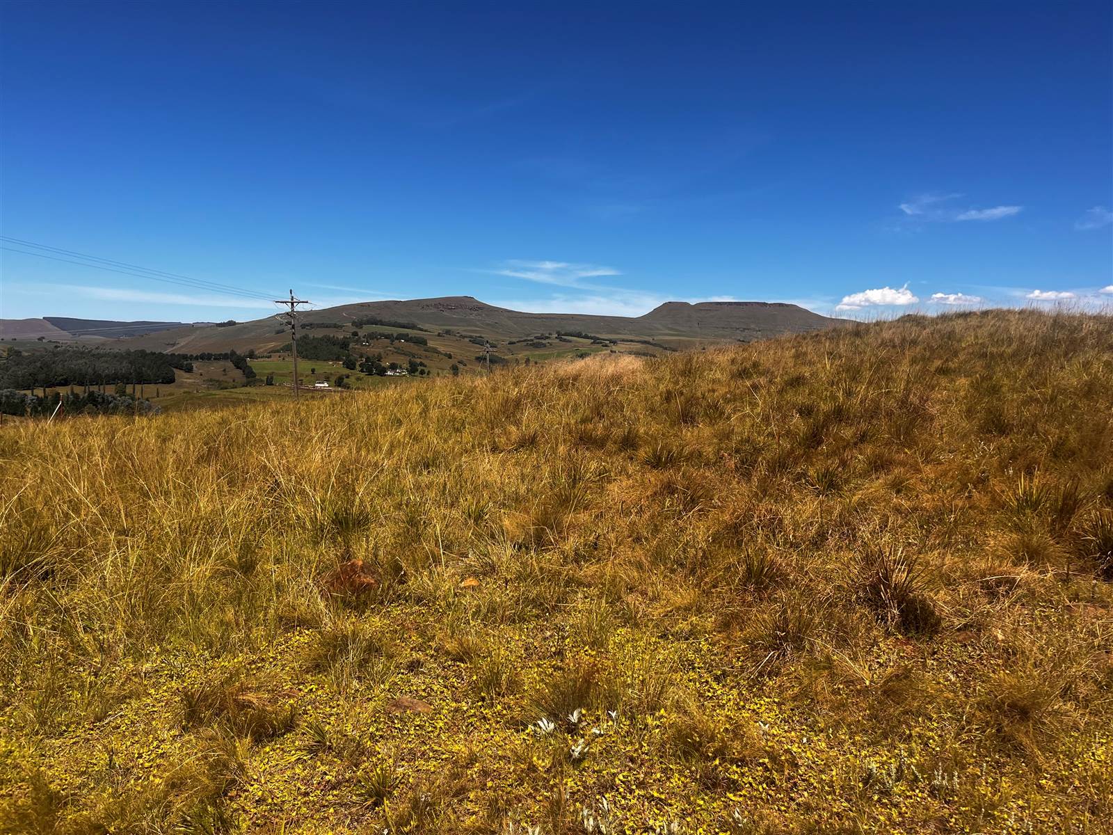 4 ha Land available in Underberg photo number 25