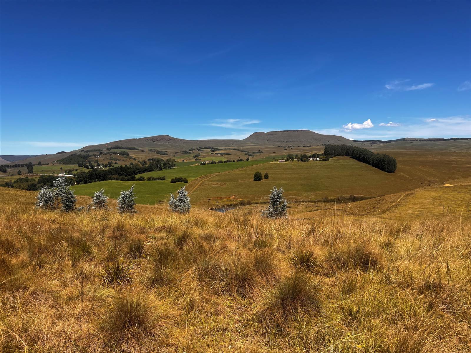 4 ha Land available in Underberg photo number 23