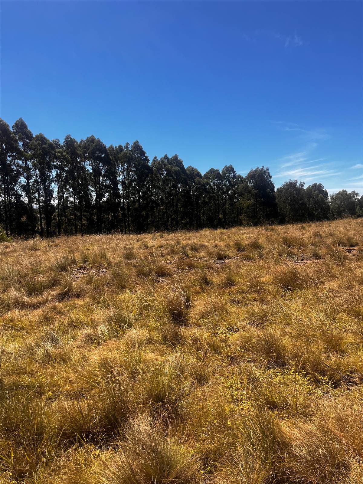 4 ha Land available in Underberg photo number 6