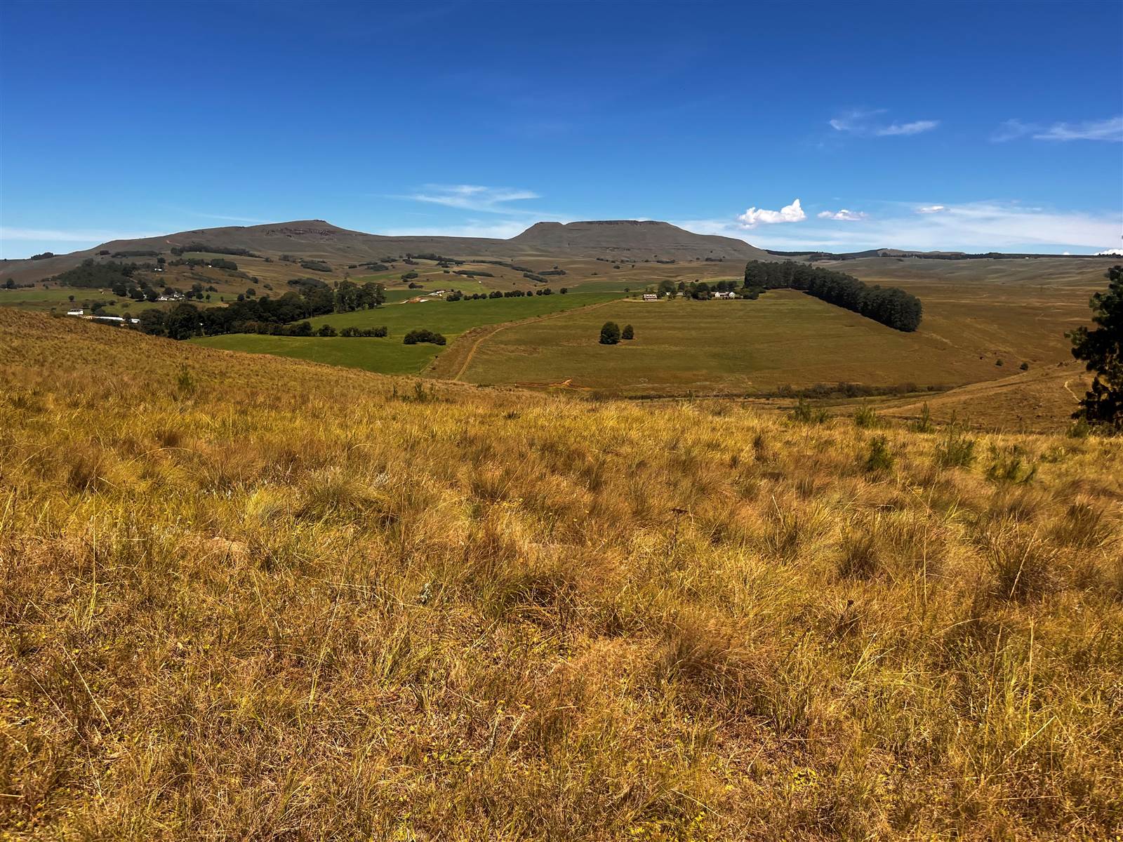 4 ha Land available in Underberg photo number 24