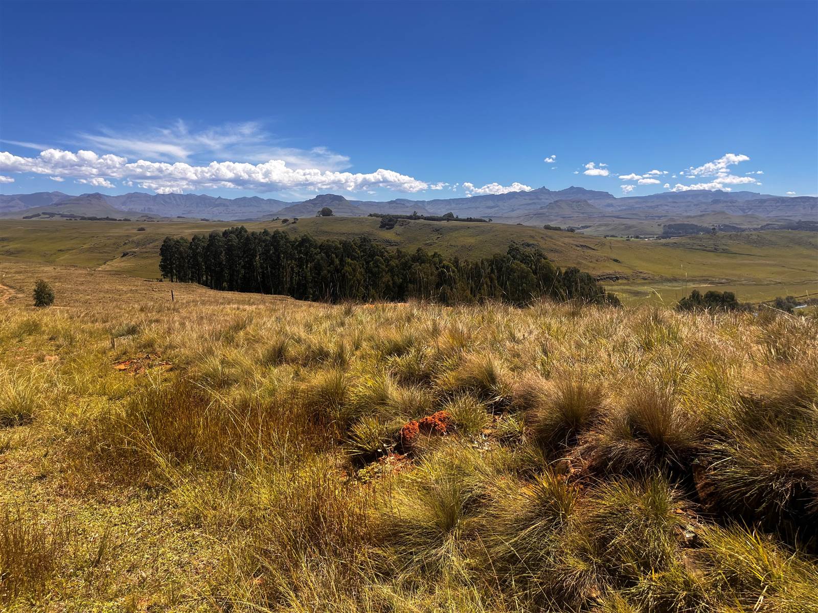 4 ha Land available in Underberg photo number 11