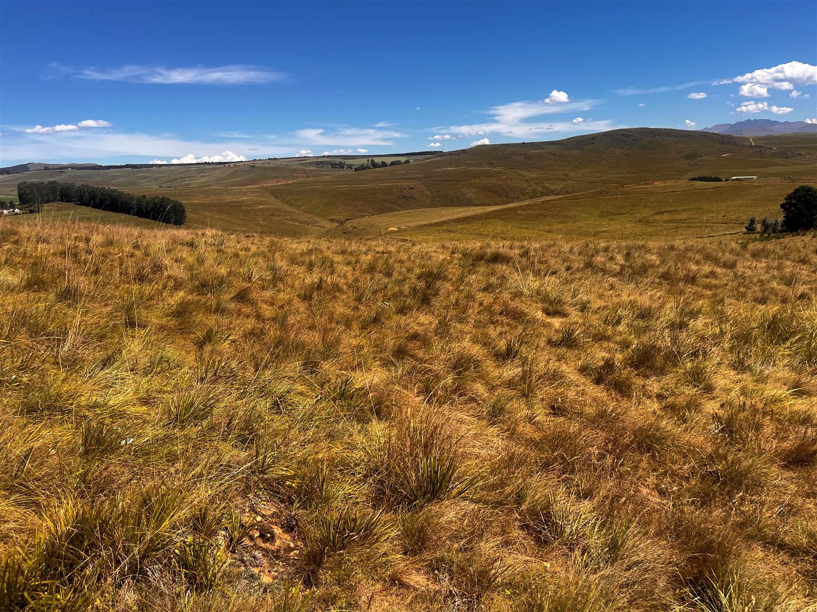 4 ha Land available in Underberg photo number 14