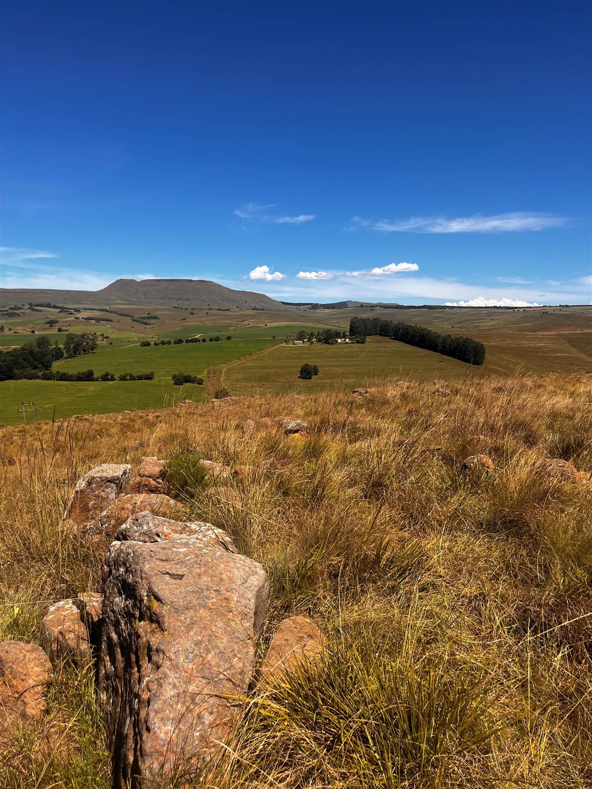 4 ha Land available in Underberg photo number 13