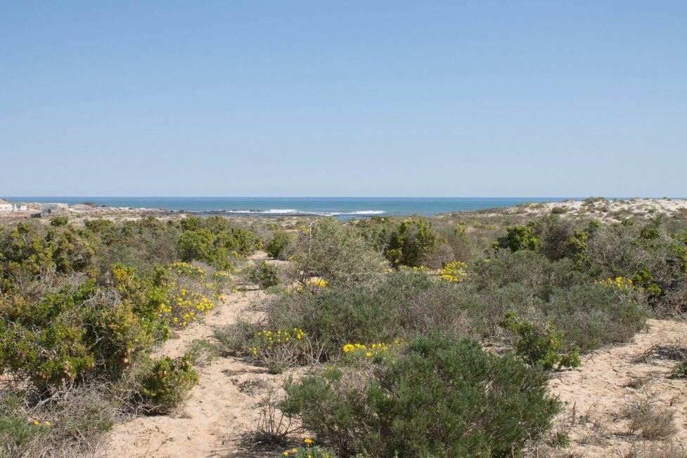 673 m² Land available in Hondeklip Bay photo number 1