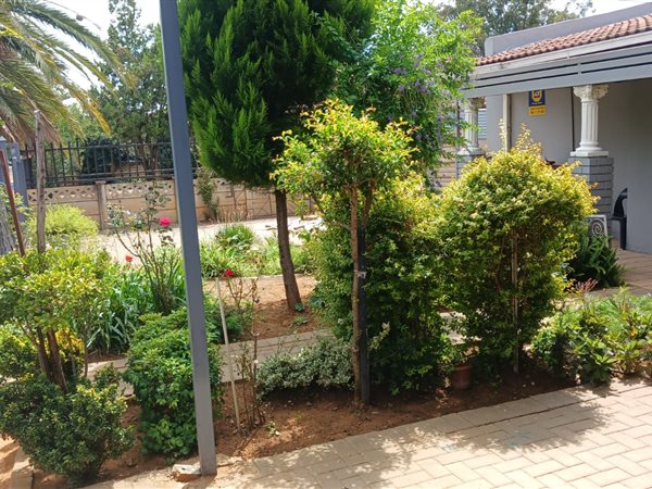3 Bedroom House 3 Bedroom House