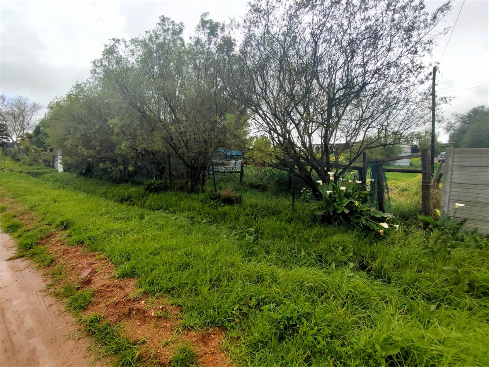 800 m² Land available in Malmesbury photo number 3