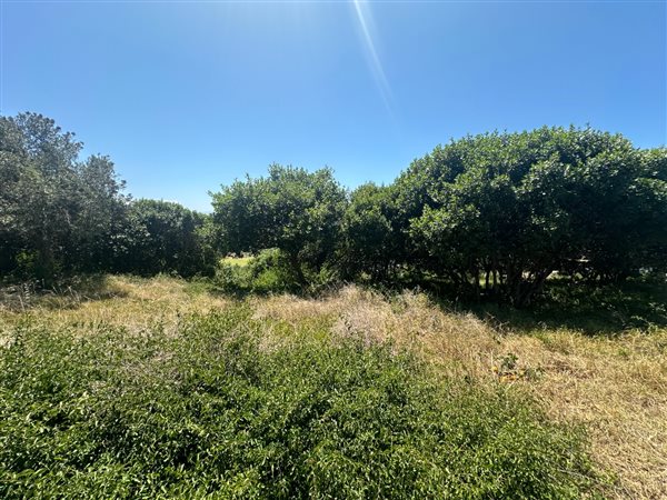 1168 m² Land available in Great Brak River