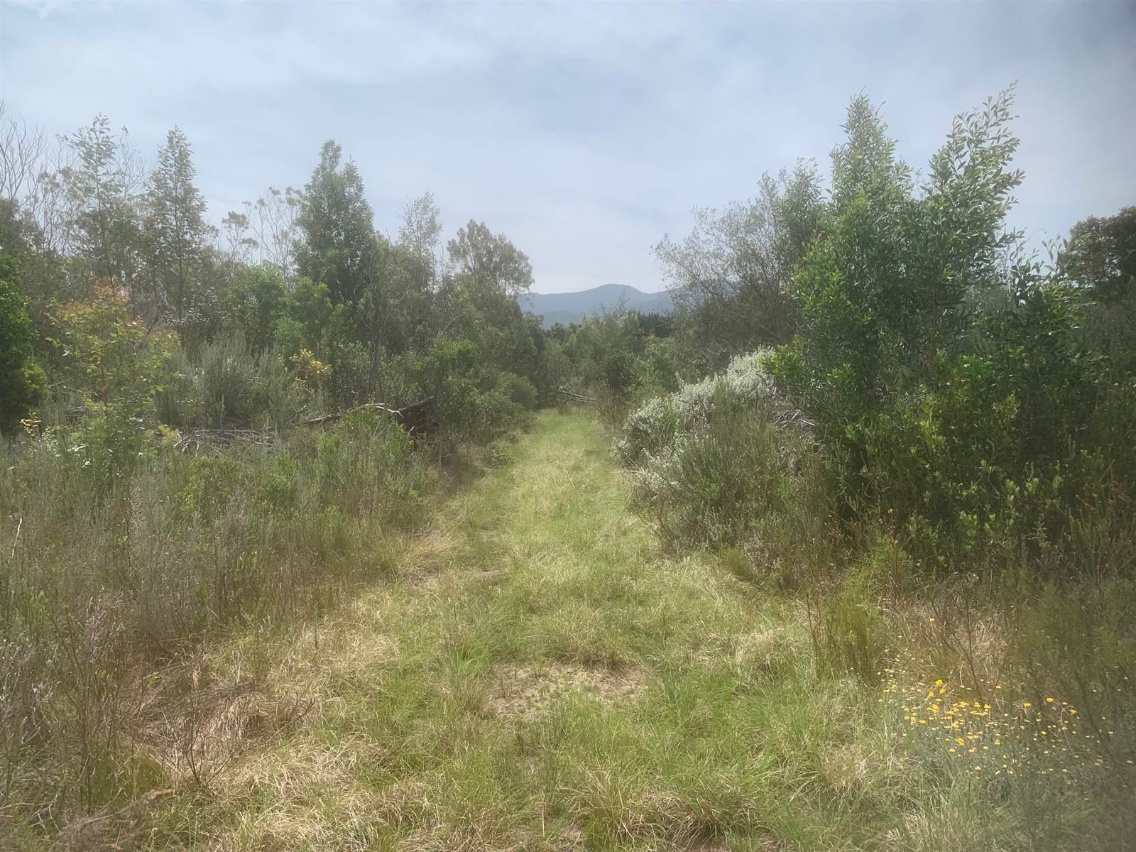 5150 m² Land available in The Crags photo number 1