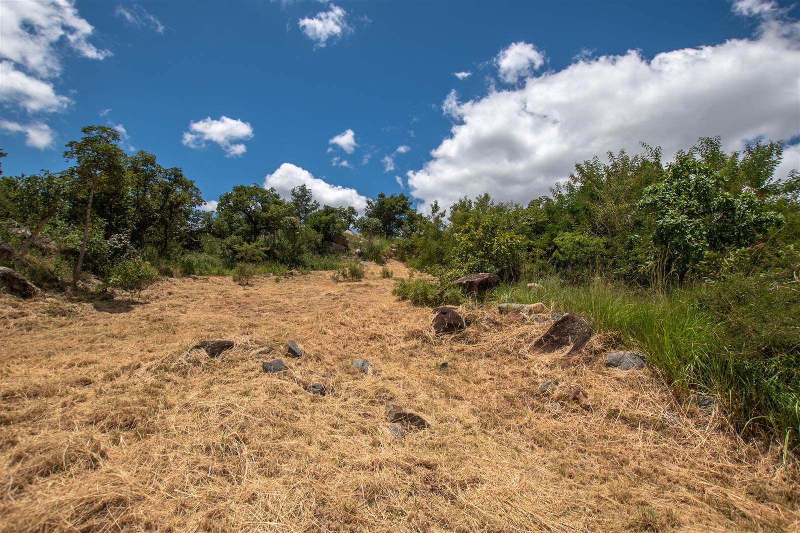 1796 m² Land available in The Rest Nature Estate photo number 8