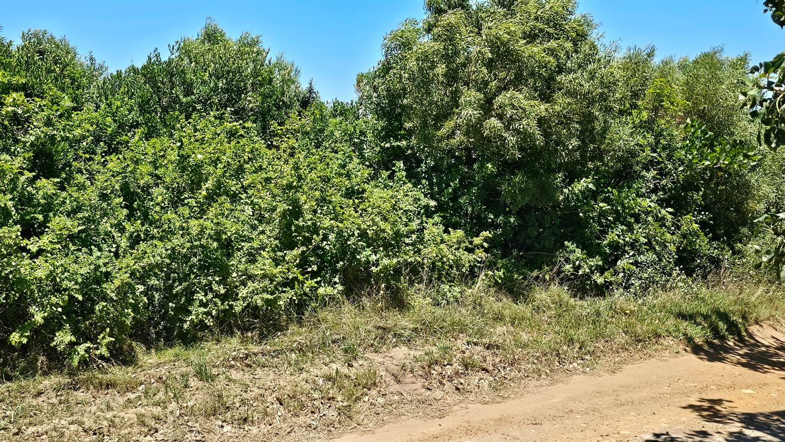 1179 m² Land available in Oyster Bay photo number 8