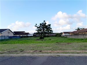 1000 m² Land available in Birdswood