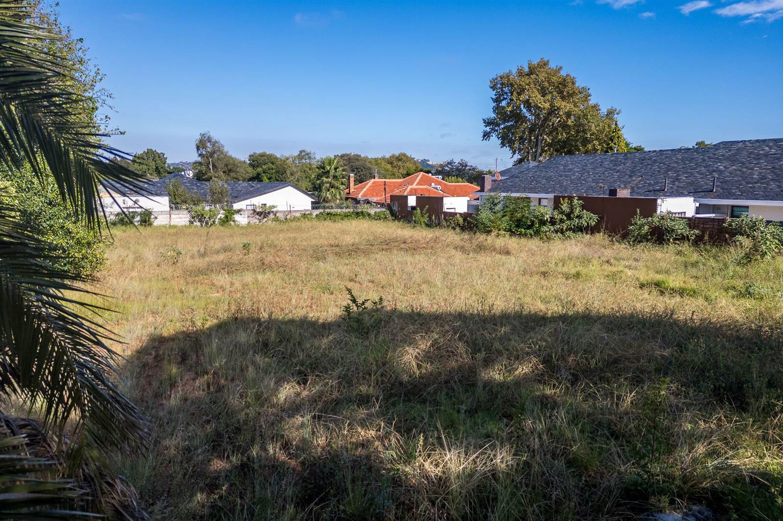 1385 m² Land available in Emmarentia photo number 2