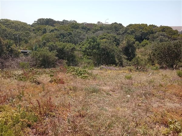 986 m² Land