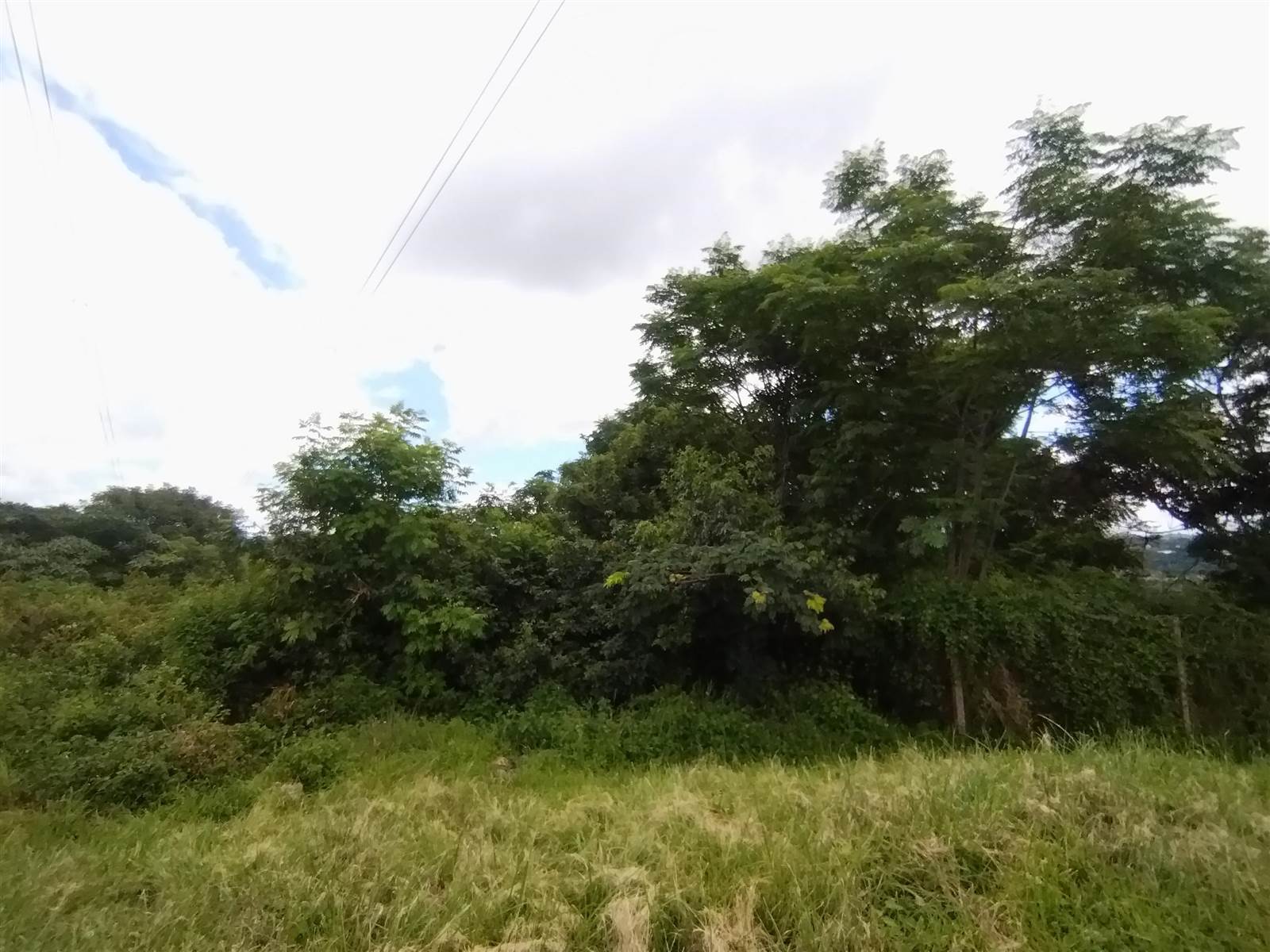 1600 m² Land available in Mariannhill Park photo number 4
