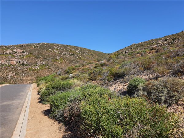 591 m² Land available in St Helena Views