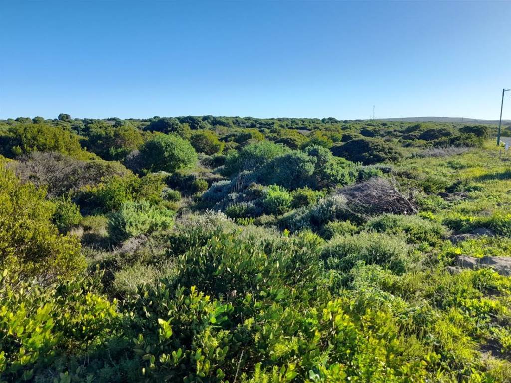 624 m² Land available in Kleinbaai photo number 7