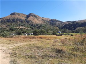 736 ha Farm in Newcastle Central