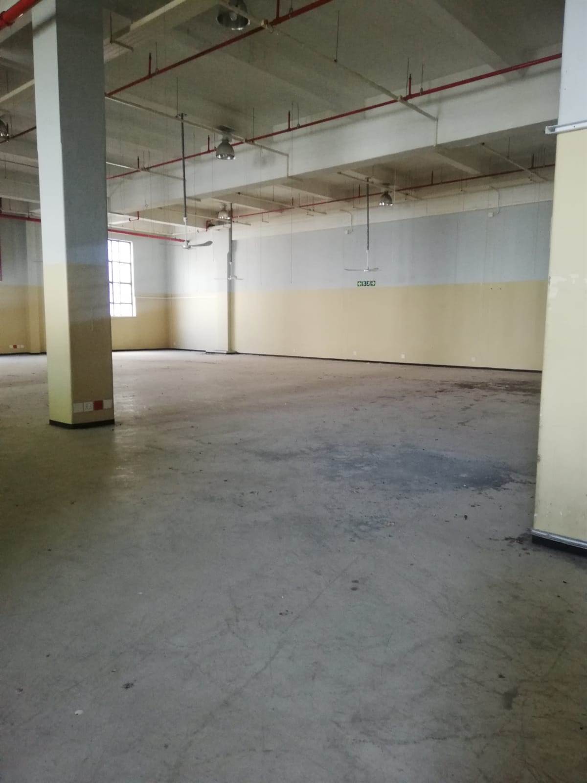 1230  m² Office Space in Cape Town City Centre photo number 5