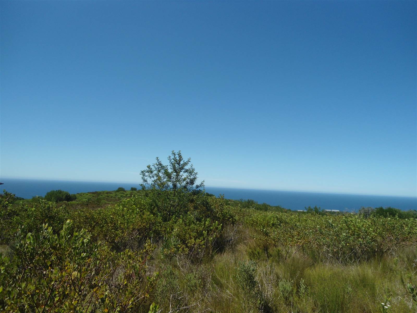 7095 m² Land available in Pezula Private Estate photo number 1