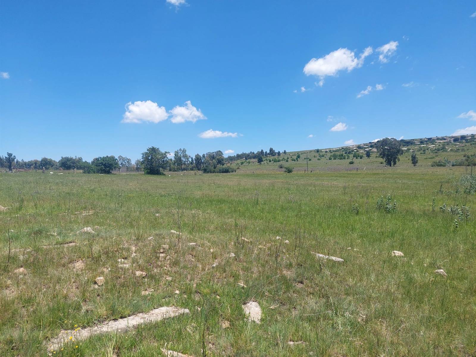2974 m² Land available in Paul Roux photo number 10