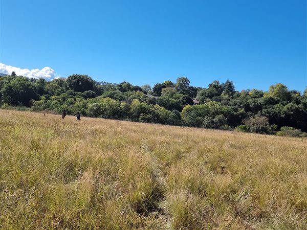 4361 m² Land available in Howick