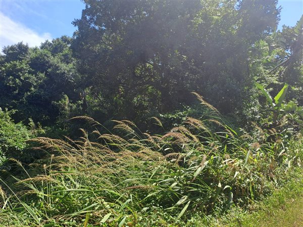 1 178 m² Land 1 178 m² Land