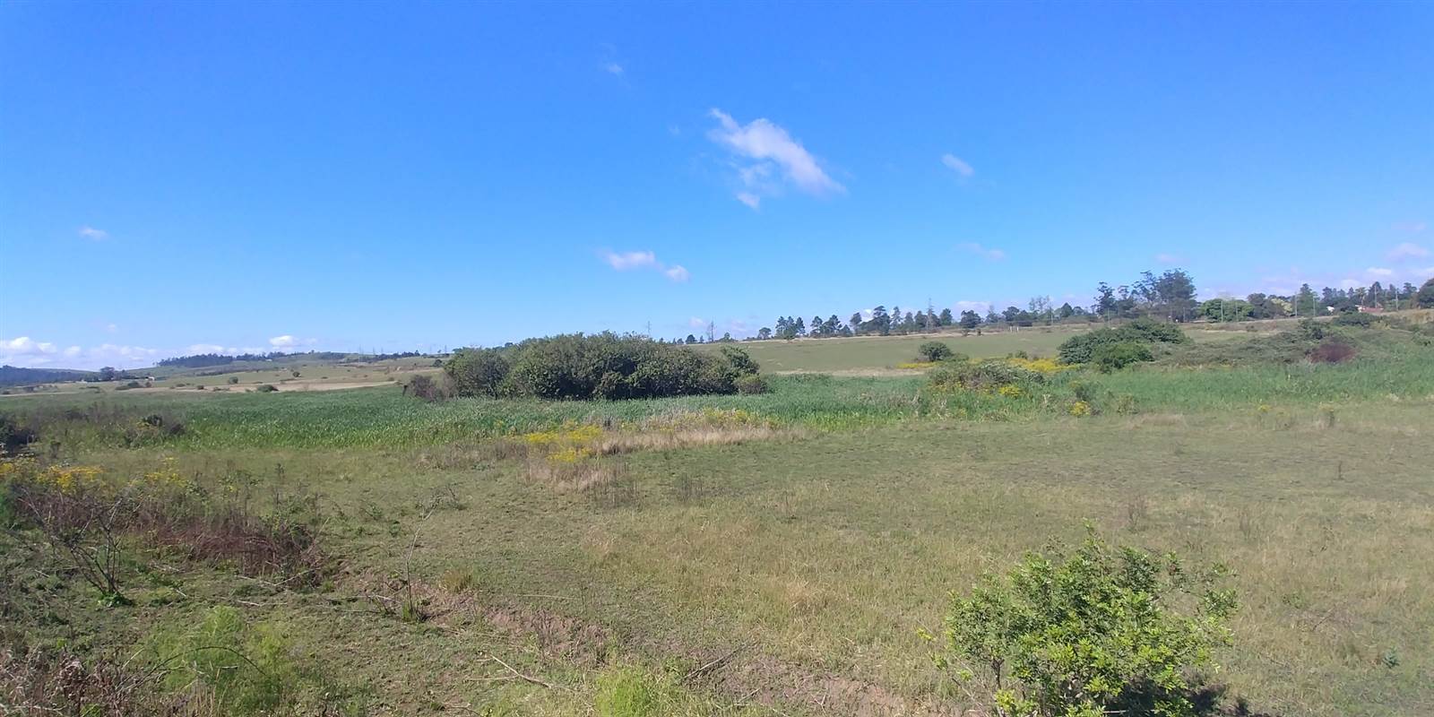 42 ha Land available in Cato Ridge photo number 3