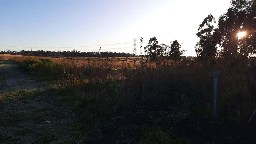 42 ha Land available in Cato Ridge photo number 6