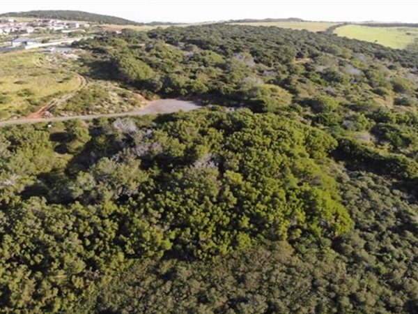 1422 m² Land available in Port Alfred