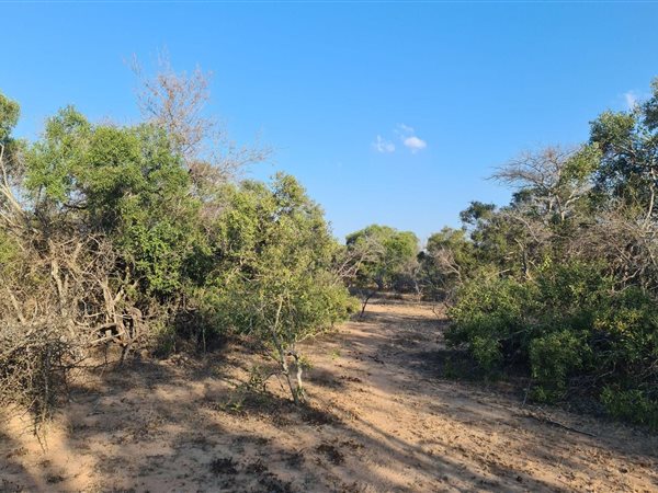 9 368 m² Land 9 368 m² Land
