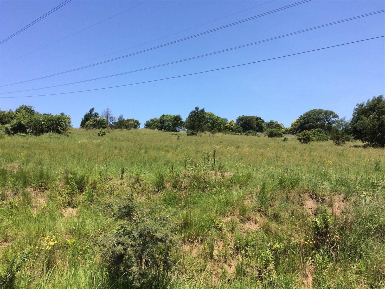 19.2 ha Land available in Hammarsdale photo number 7