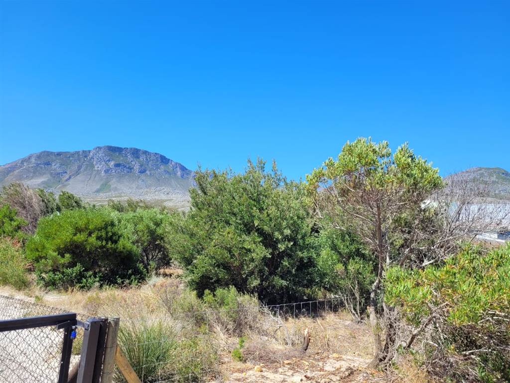 608 m² Land available in Pringle Bay photo number 6