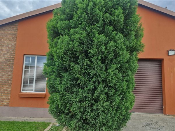 3 Bedroom House 3 Bedroom House