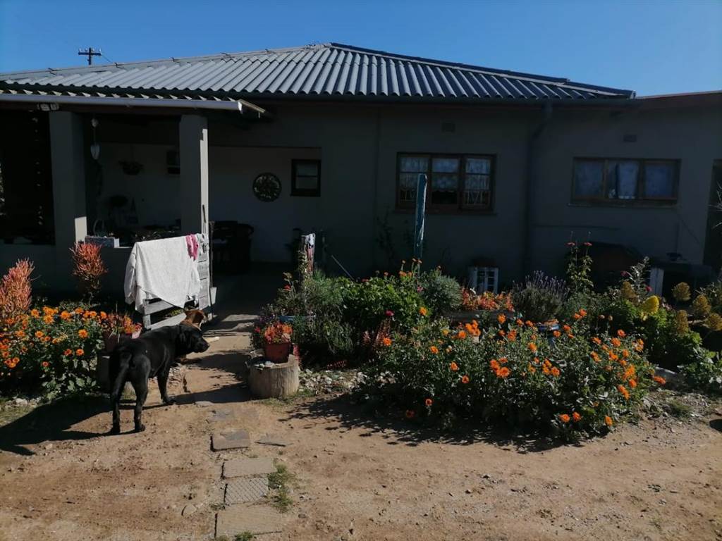 4 Bed House in Lamberts Bay photo number 2