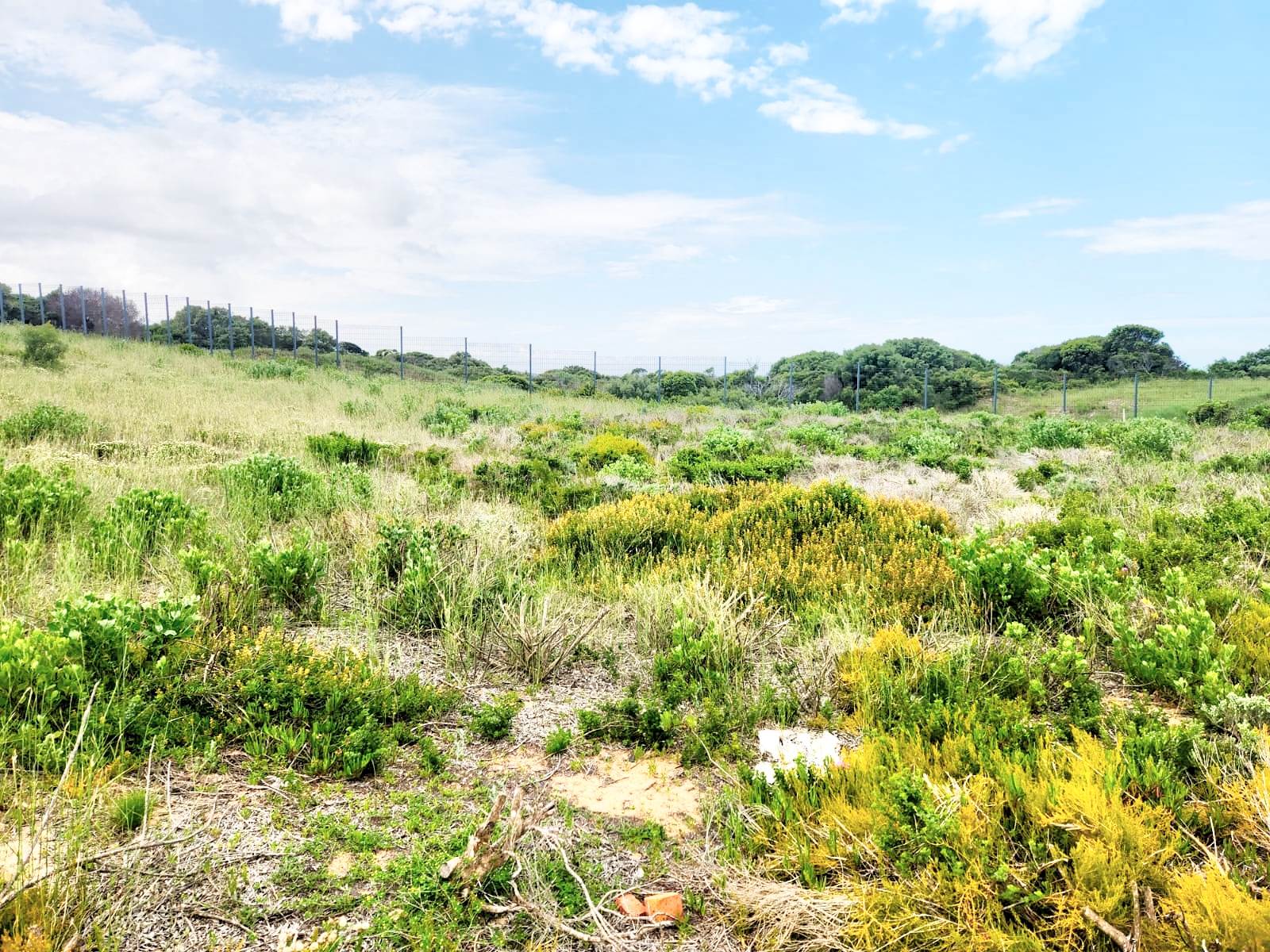 795 m² Land available in Stilbaai photo number 4