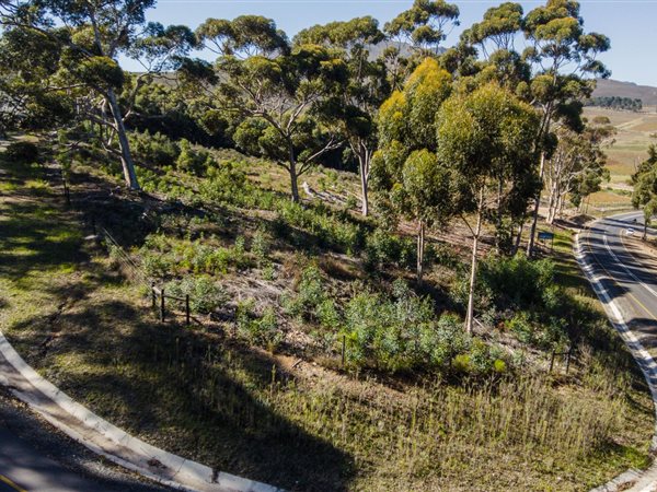 7 704 m² Farm 7 704 m² Farm
