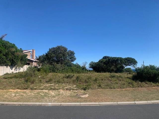 905 m² Land available in Pienaarstrand photo number 8