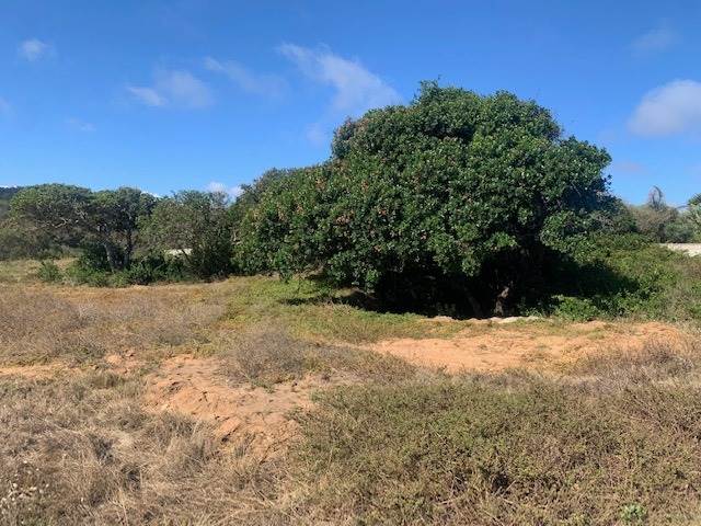 905 m² Land available in Pienaarstrand photo number 11