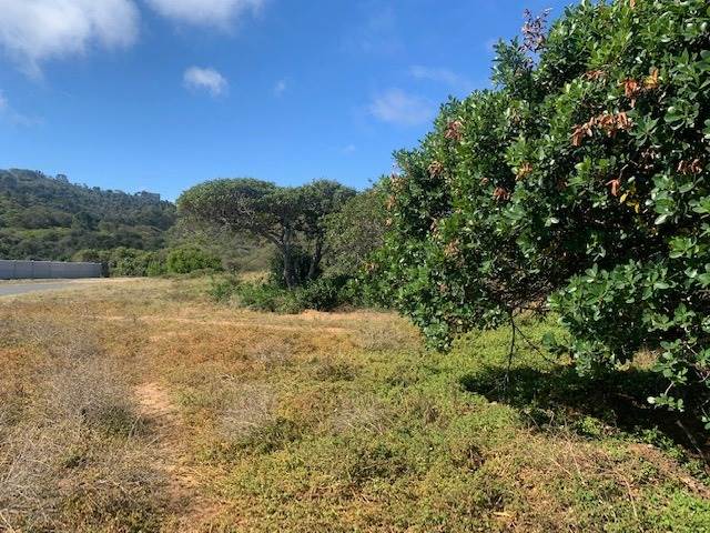905 m² Land available in Pienaarstrand photo number 12