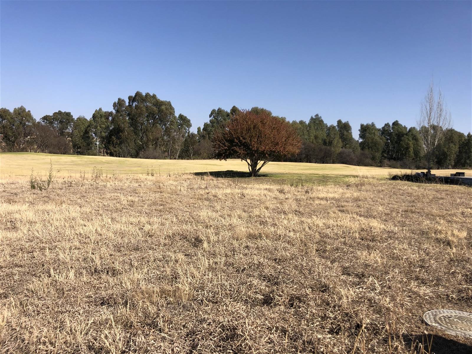 715 m² Land available in Parys photo number 3