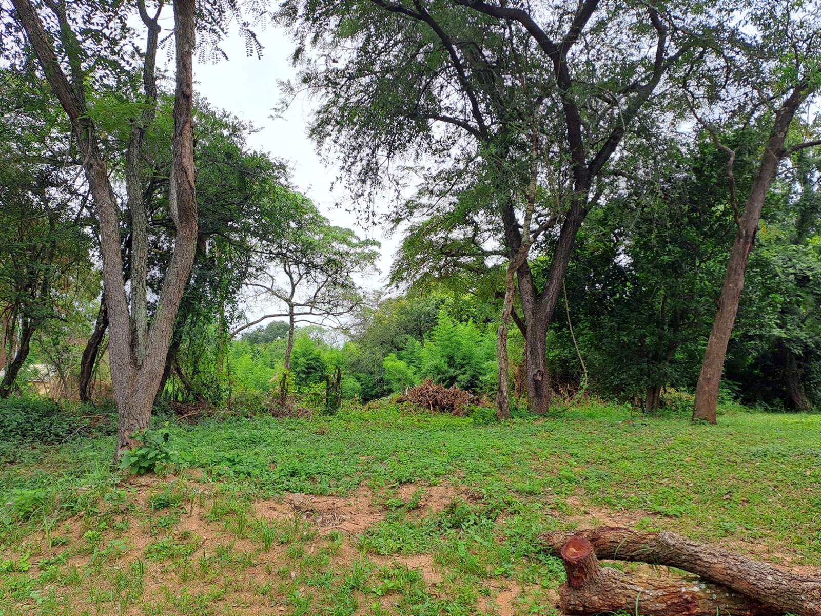 1021 m² Land available in Numbi Park photo number 4