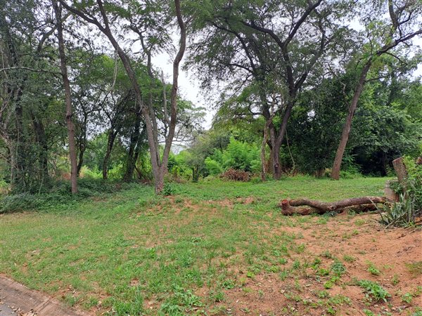 1021 m² Land available in Numbi Park
