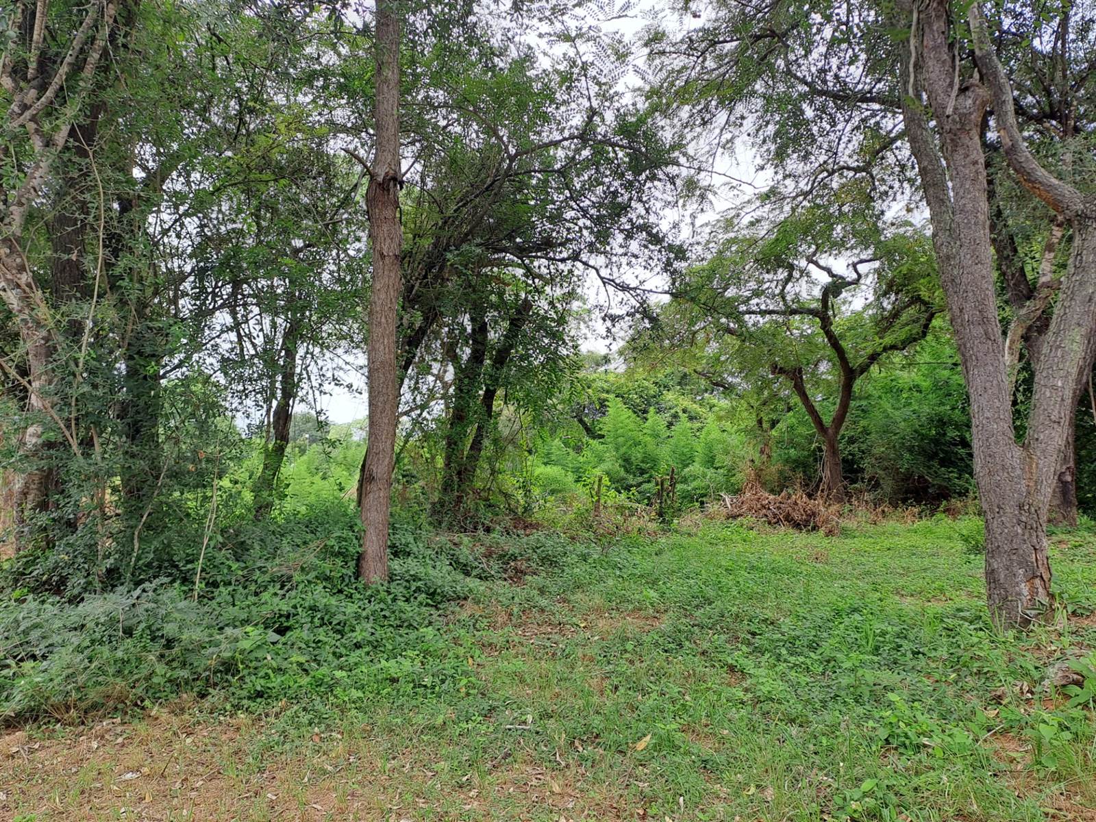 1021 m² Land available in Numbi Park photo number 3