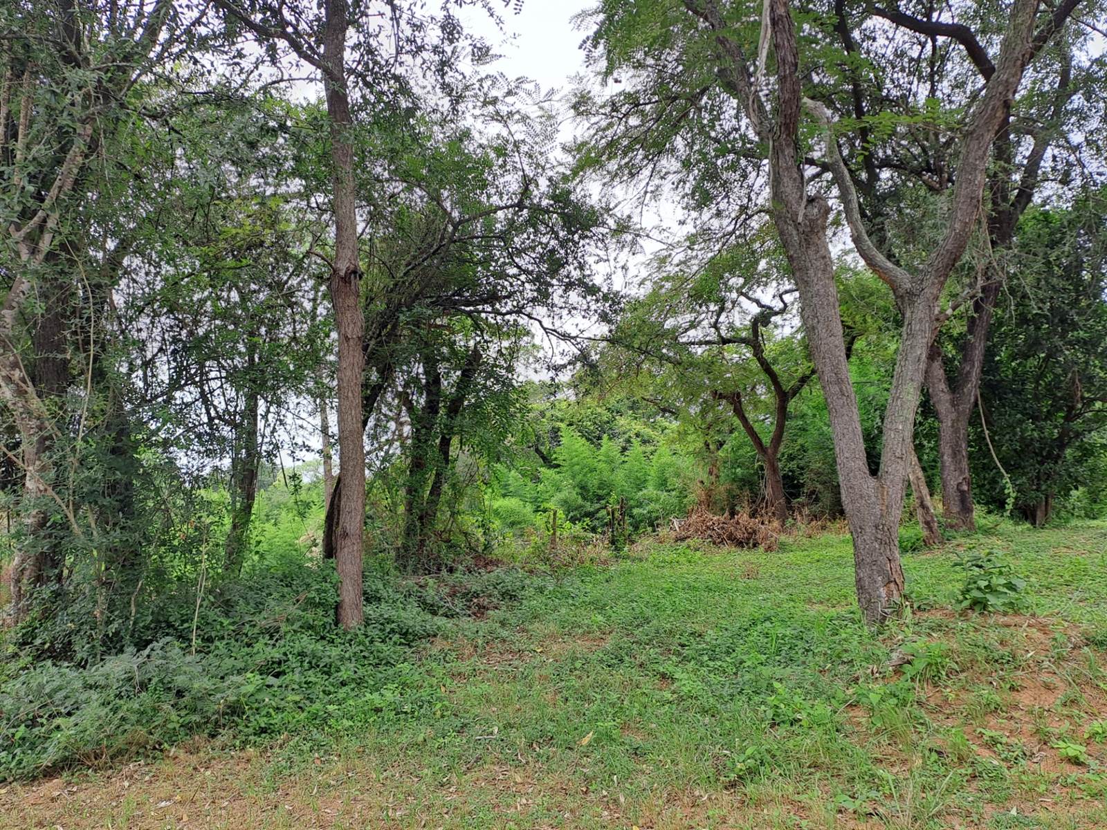 1021 m² Land available in Numbi Park photo number 2