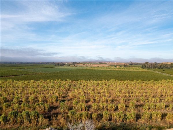 15 ha Farm in Vredendal