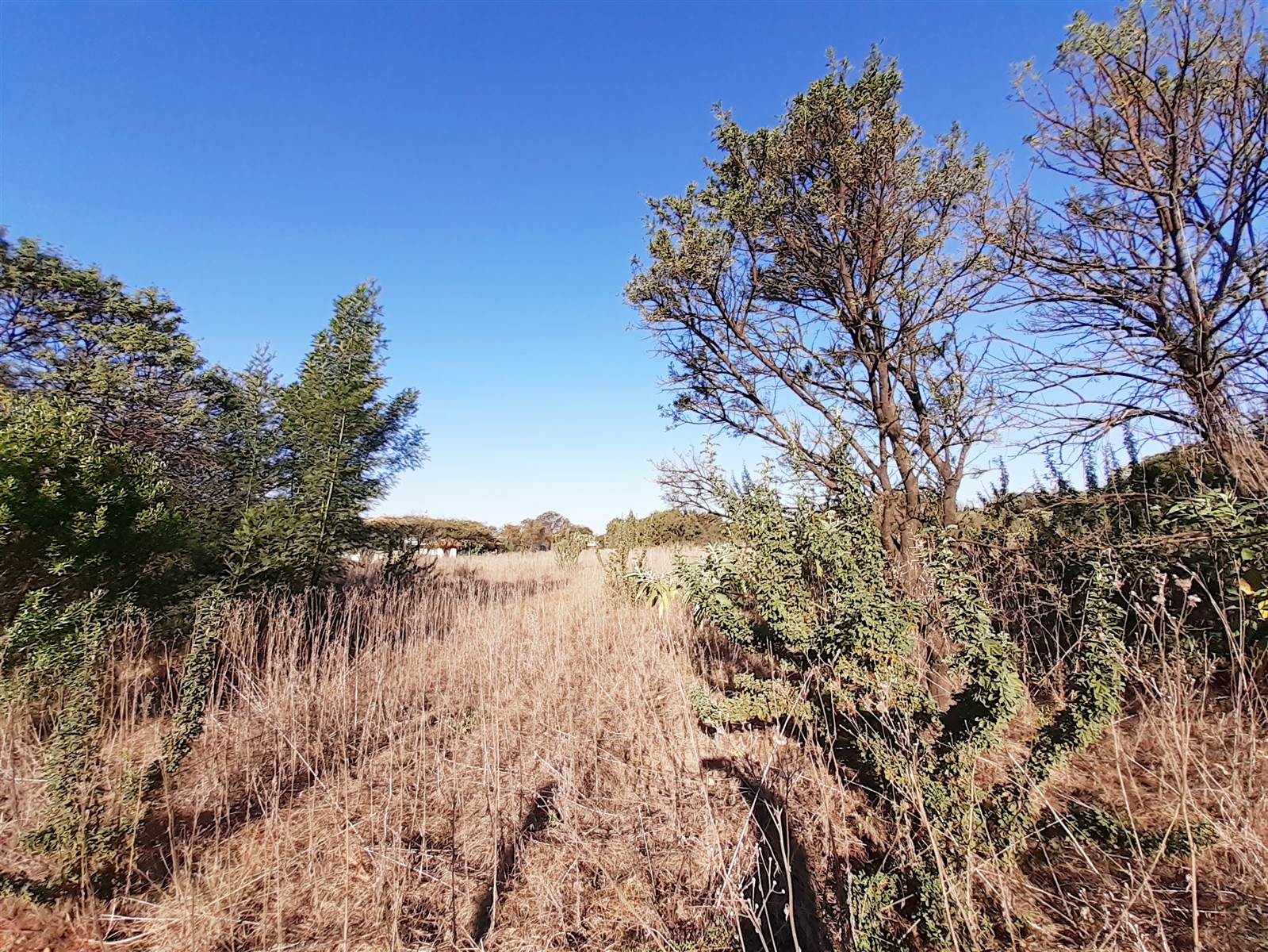 1 ha Land available in Mooikloof Equestrian Estate photo number 4