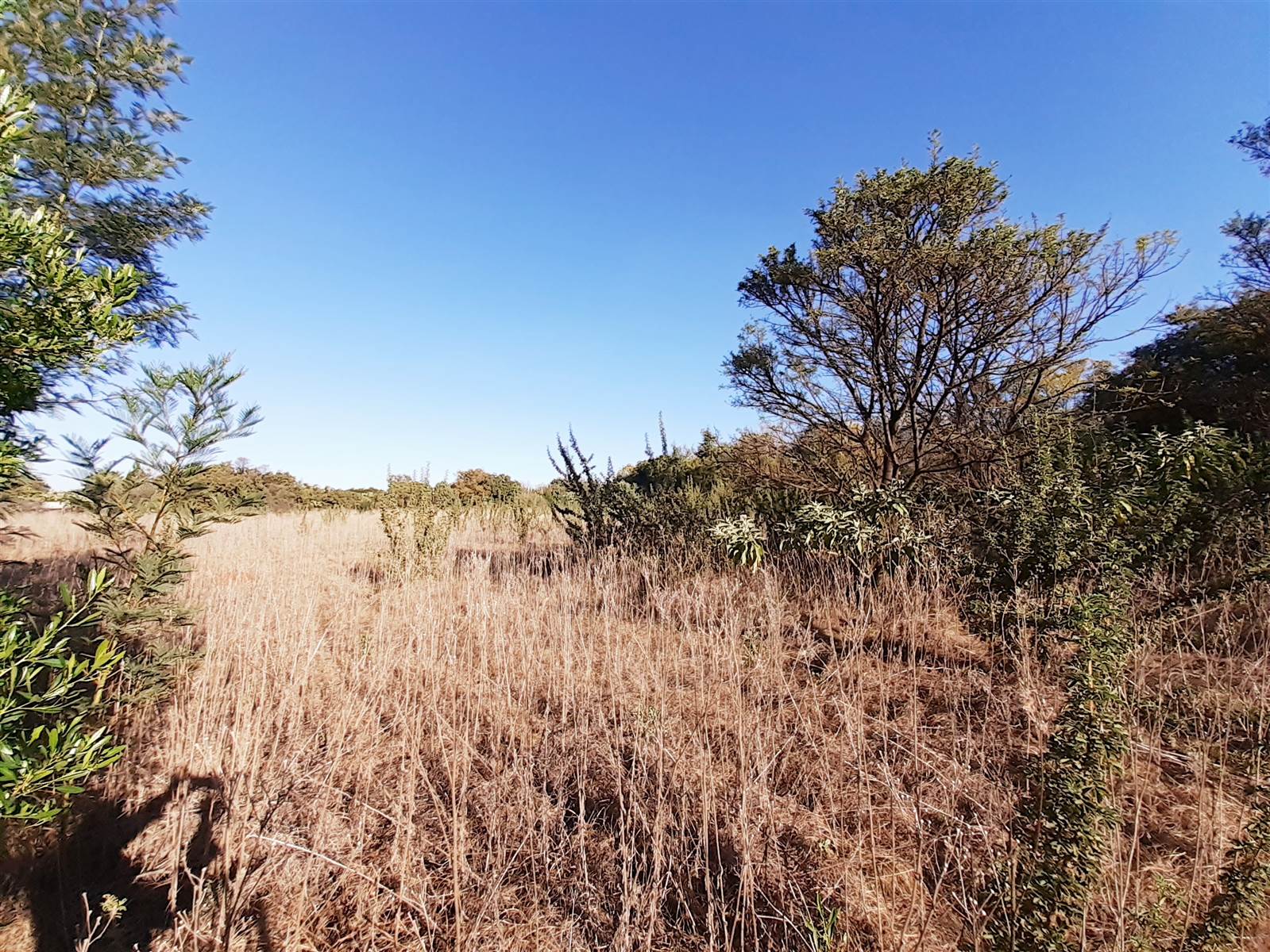 1 ha Land available in Mooikloof Equestrian Estate photo number 3